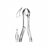 Extracting Forceps American Pattern